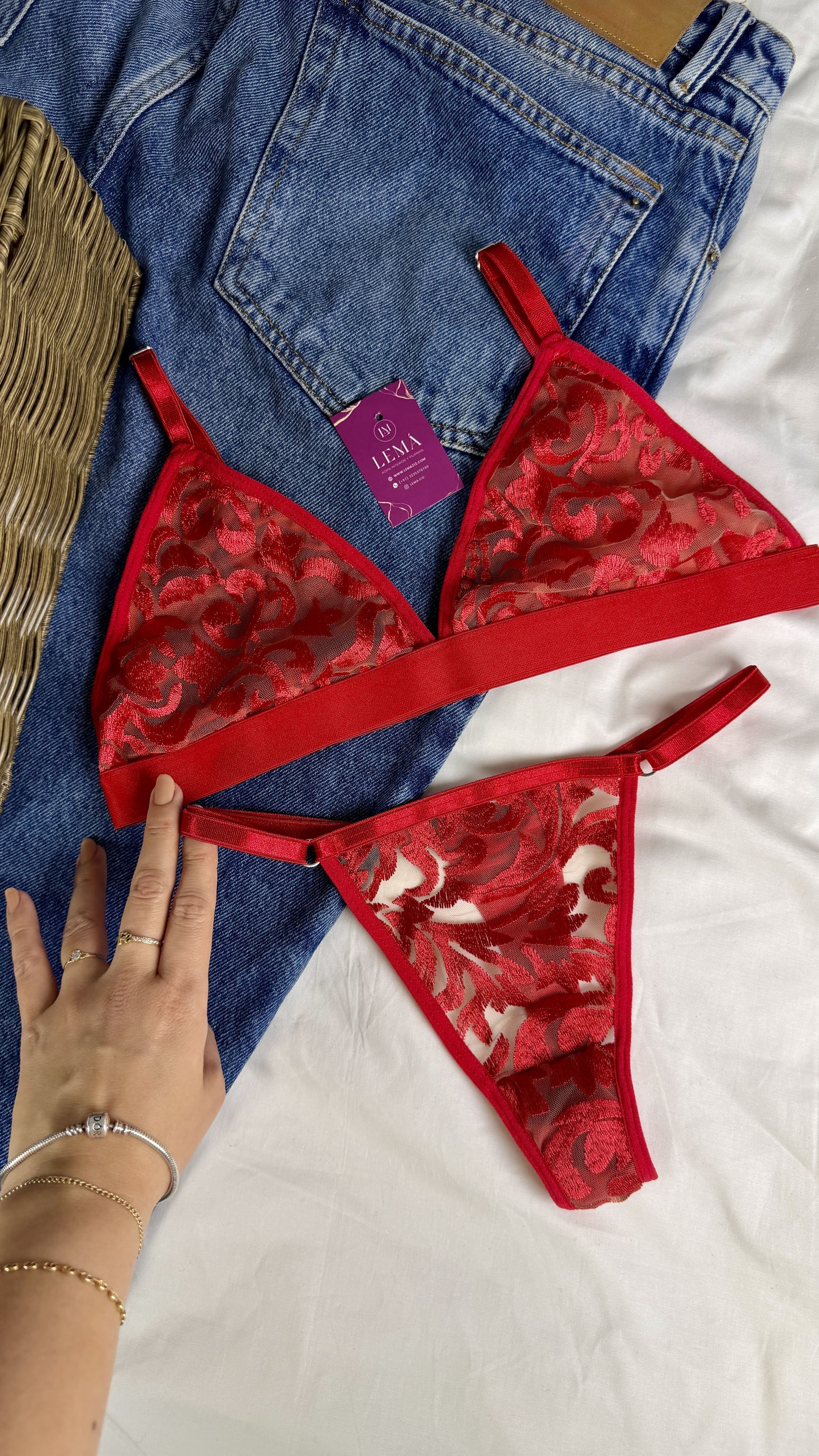 CONJUNTO LENCERIA ENCAJE BORDADO | MELI | TRE COLORES